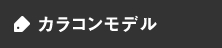 カラコンモデル
